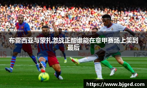 mk体育